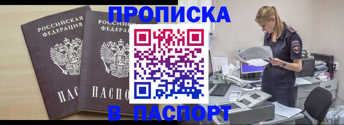 прописка законно в Щёлково