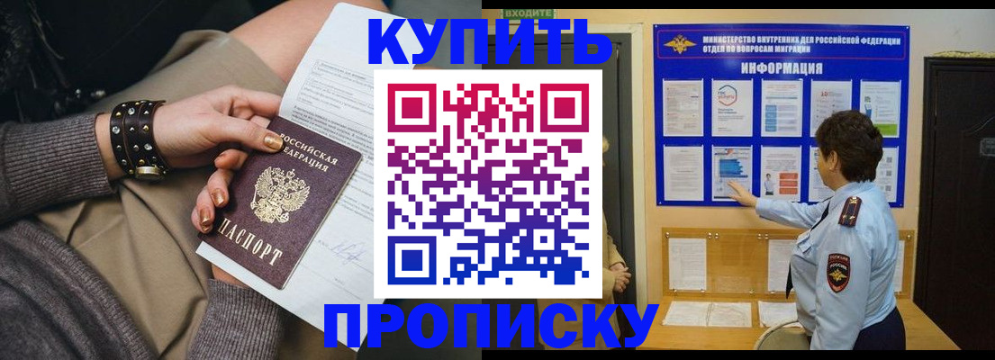 прописка в Щёлково
